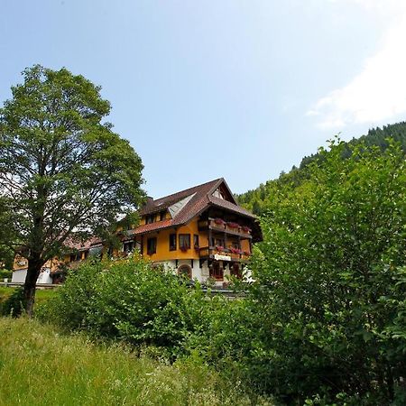 Hotel Gasthaus Hirschen Im Hochschwarzwald Todtnau Nahe Feldberg Dış mekan fotoğraf