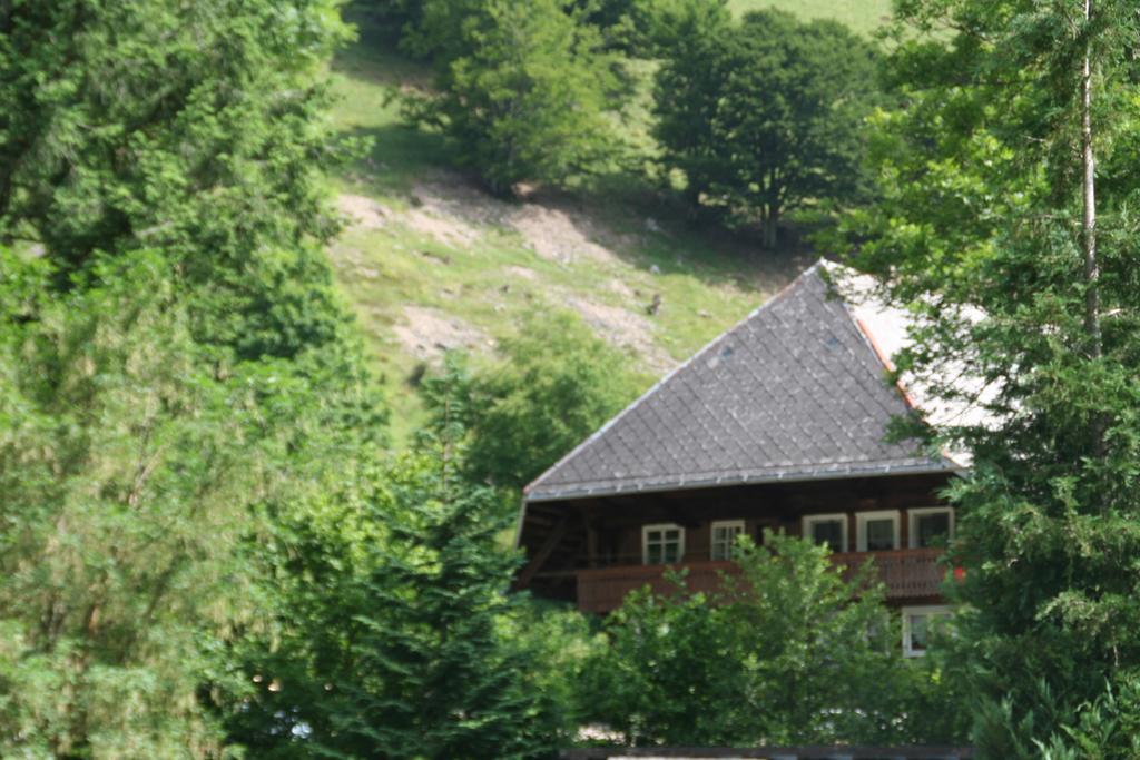 Hotel Gasthaus Hirschen Im Hochschwarzwald Todtnau Nahe Feldberg Dış mekan fotoğraf