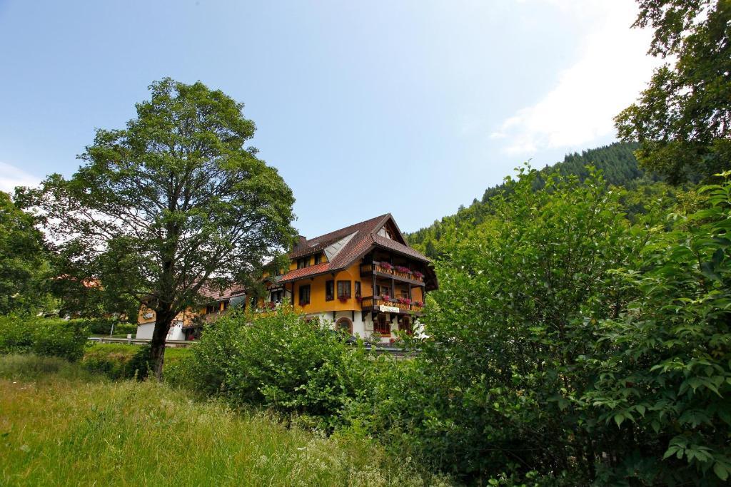 Hotel Gasthaus Hirschen Im Hochschwarzwald Todtnau Nahe Feldberg Dış mekan fotoğraf